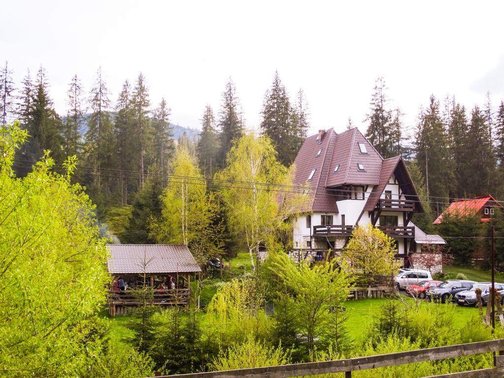 Pensiunea Casa Noastra Arieşeni Exterior foto