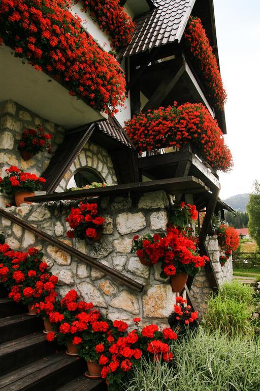 Pensiunea Casa Noastra Arieşeni Exterior foto